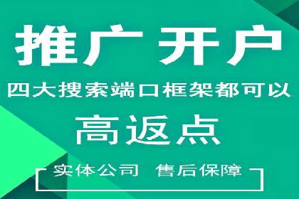 SEM竞价代运营：案例展示精准营销效果